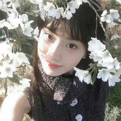 软糖女王重启计划